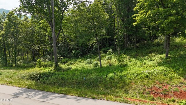 TR40 Cowan Town Rd, Butler, TN 37640 - photo 13