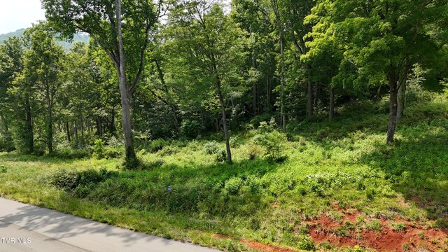 TR40 Cowan Town Rd, Butler, TN 37640 - photo 14