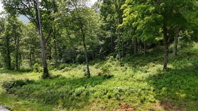 TR40 Cowan Town Rd, Butler, TN 37640 - photo 15