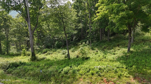 TR40 Cowan Town Rd, Butler, TN 37640 - photo 16