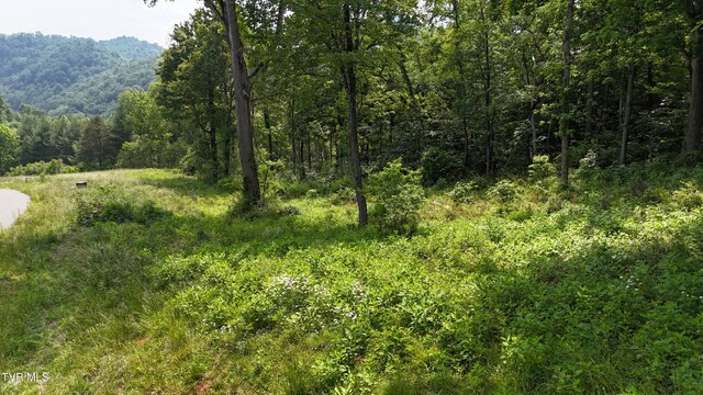 TR40 Cowan Town Rd, Butler, TN 37640 - photo 18