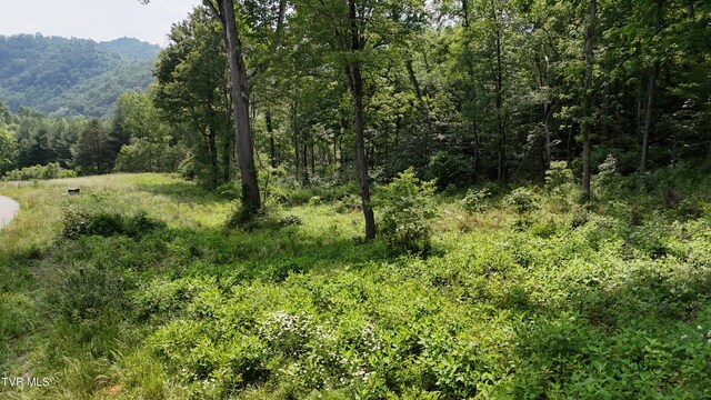TR40 Cowan Town Rd, Butler, TN 37640 - photo 19