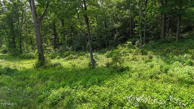 TR40 Cowan Town Rd, Butler, TN 37640 - photo 20