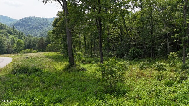 TR40 Cowan Town Rd, Butler, TN 37640 - photo 21