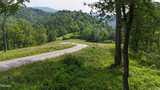 TR40 Cowan Town Rd, Butler, TN 37640 - photo 22