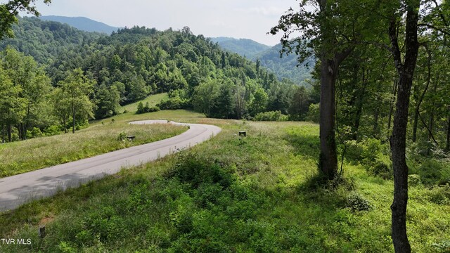 TR40 Cowan Town Rd, Butler, TN 37640 - photo 23
