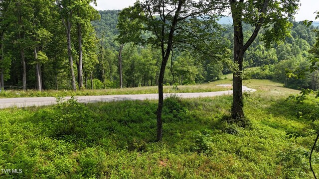 TR40 Cowan Town Rd, Butler, TN 37640 - photo 24
