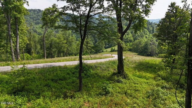 TR40 Cowan Town Rd, Butler, TN 37640 - photo 25