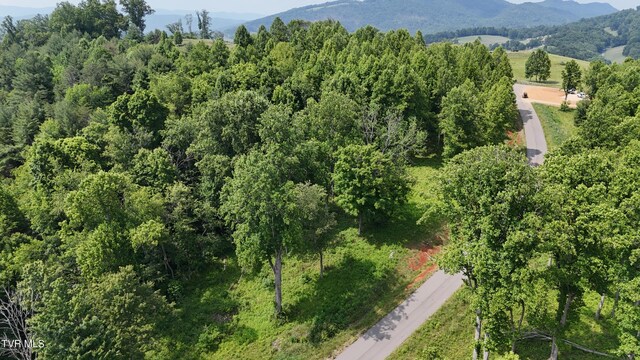 TR40 Cowan Town Rd, Butler, TN 37640 - photo 26