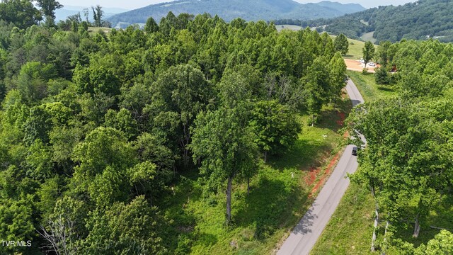 TR40 Cowan Town Rd, Butler, TN 37640 - photo 27