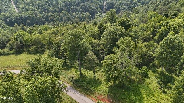 TR40 Cowan Town Rd, Butler, TN 37640 - photo 28