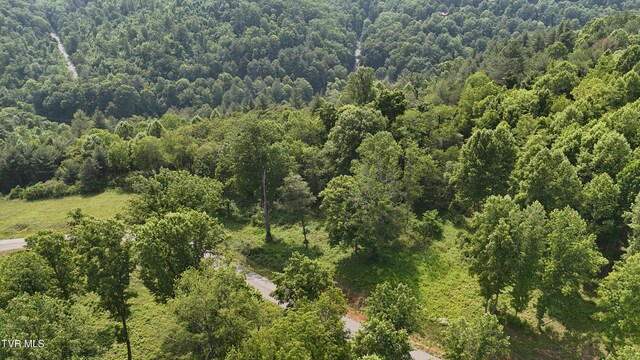TR40 Cowan Town Rd, Butler, TN 37640 - photo 29