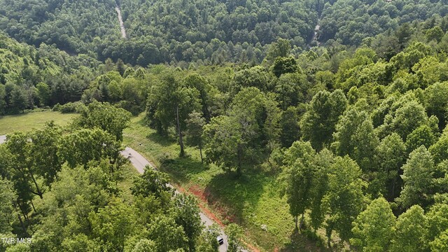 TR40 Cowan Town Rd, Butler, TN 37640 - photo 30