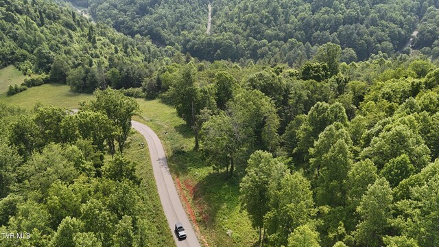 TR40 Cowan Town Rd, Butler, TN 37640 - photo 31