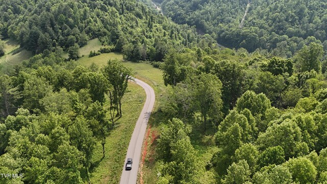 TR40 Cowan Town Rd, Butler, TN 37640 - photo 32