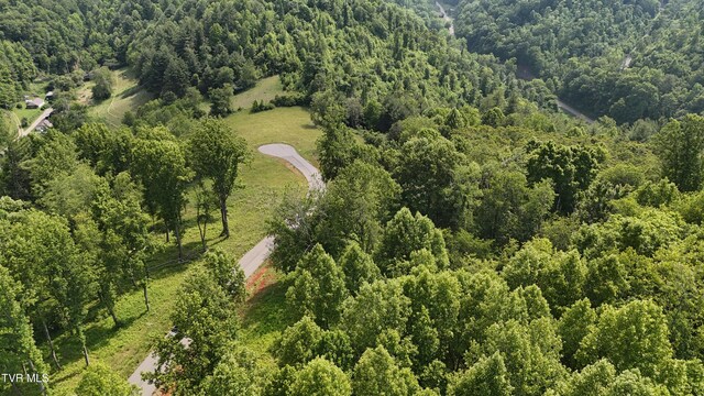 TR40 Cowan Town Rd, Butler, TN 37640 - photo 33