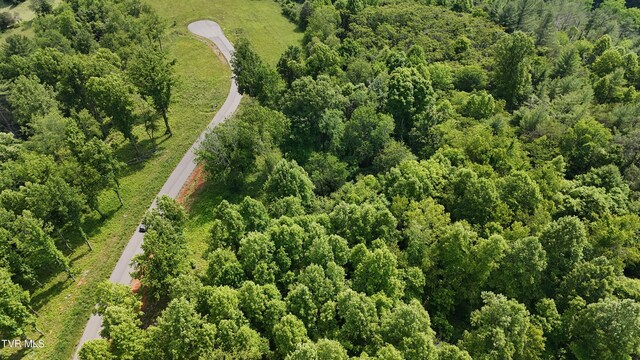 TR40 Cowan Town Rd, Butler, TN 37640 - photo 34