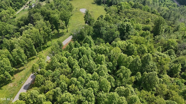TR40 Cowan Town Rd, Butler, TN 37640 - photo 35