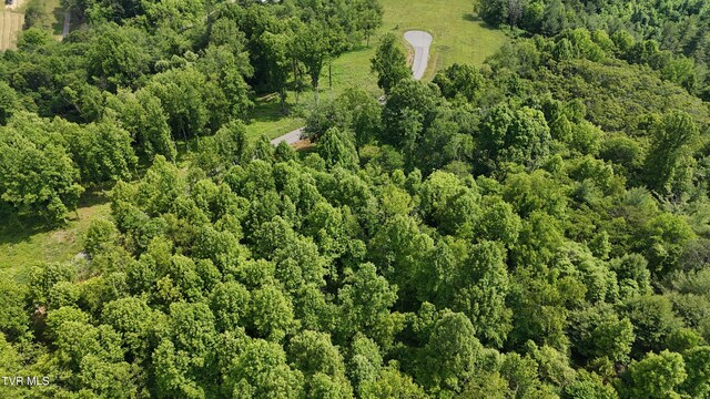 TR40 Cowan Town Rd, Butler, TN 37640 - photo 36