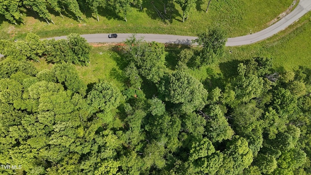 TR40 Cowan Town Rd, Butler, TN 37640 - photo 37