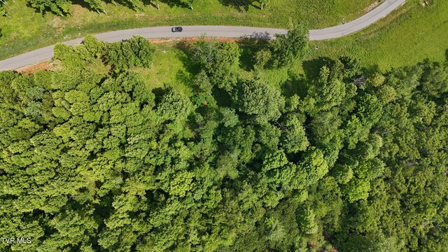 TR40 Cowan Town Rd, Butler, TN 37640 - photo 38