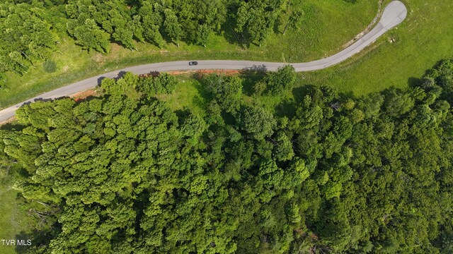 TR40 Cowan Town Rd, Butler, TN 37640 - photo 39