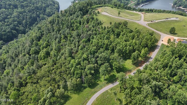 TR40 Cowan Town Rd, Butler, TN 37640 - photo 40