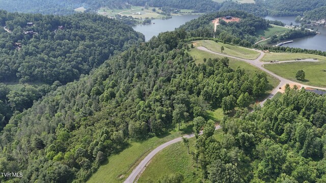 TR40 Cowan Town Rd, Butler, TN 37640 - photo 43