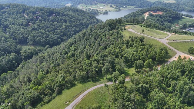 TR40 Cowan Town Rd, Butler, TN 37640 - photo 44