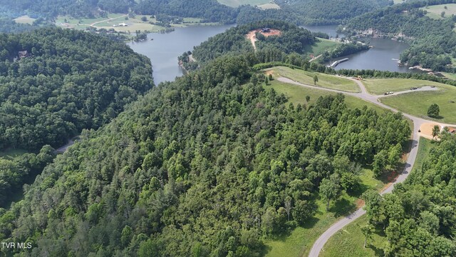 TR40 Cowan Town Rd, Butler, TN 37640 - photo 45