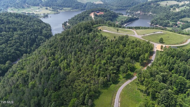 TR40 Cowan Town Rd, Butler, TN 37640 - photo 46