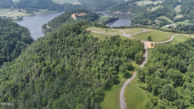TR40 Cowan Town Rd, Butler, TN 37640 - photo 47