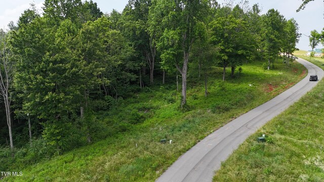 TR40 Cowan Town Rd, Butler, TN 37640 - photo 48