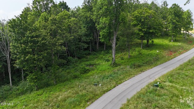 TR40 Cowan Town Rd, Butler, TN 37640 - photo 49