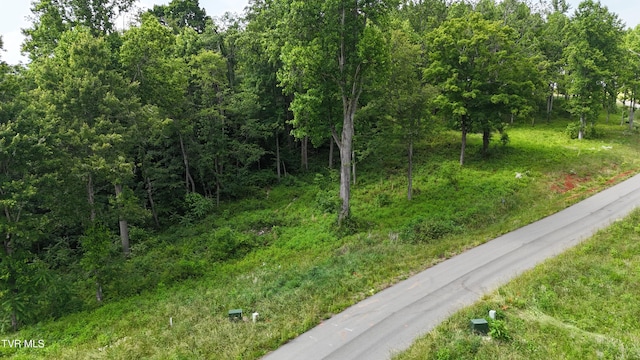 TR40 Cowan Town Rd, Butler, TN 37640 - photo 50