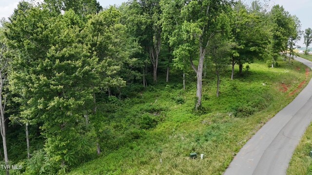 TR40 Cowan Town Rd, Butler, TN 37640 - photo 51