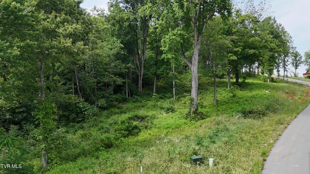 TR40 Cowan Town Rd, Butler, TN 37640 - photo 52