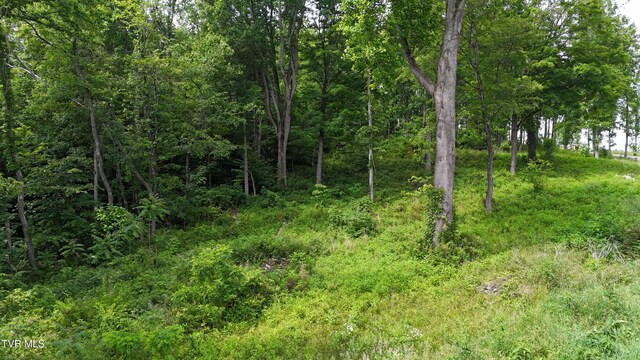 TR40 Cowan Town Rd, Butler, TN 37640 - photo 53