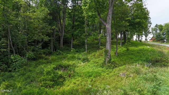 TR40 Cowan Town Rd, Butler, TN 37640 - photo 54