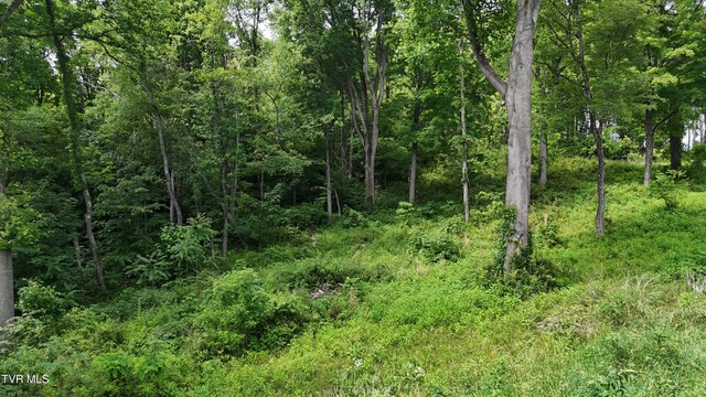 TR40 Cowan Town Rd, Butler, TN 37640 - photo 55
