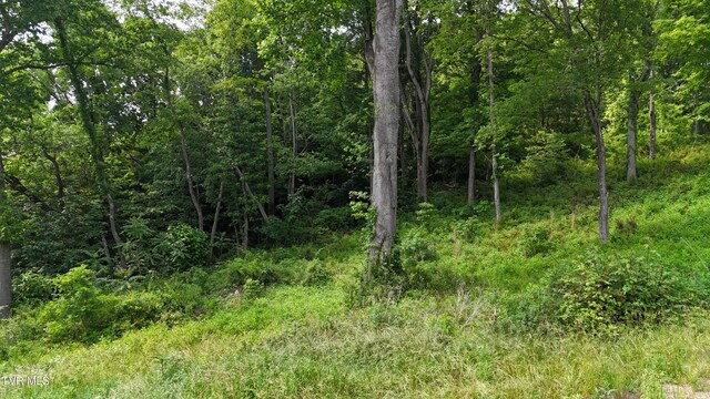 TR40 Cowan Town Rd, Butler, TN 37640 - photo 56