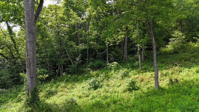 TR40 Cowan Town Rd, Butler, TN 37640 - photo 57