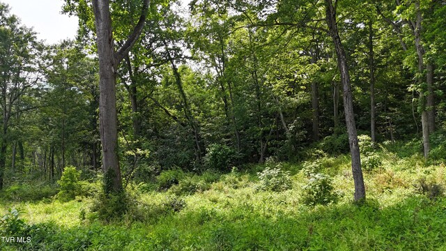 TR40 Cowan Town Rd, Butler, TN 37640 - photo 58