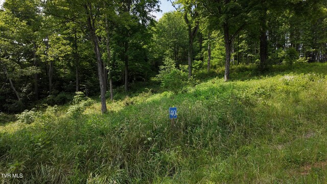 TR40 Cowan Town Rd, Butler, TN 37640 - photo 59