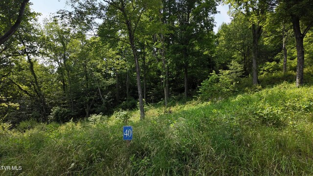 TR40 Cowan Town Rd, Butler, TN 37640 - photo 60