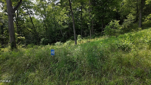 TR40 Cowan Town Rd, Butler, TN 37640 - photo 61