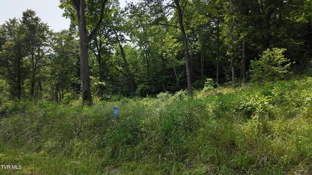 TR40 Cowan Town Rd, Butler, TN 37640 - photo 62