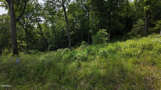 TR40 Cowan Town Rd, Butler, TN 37640 - photo 63