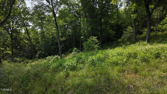 TR40 Cowan Town Rd, Butler, TN 37640 - photo 64