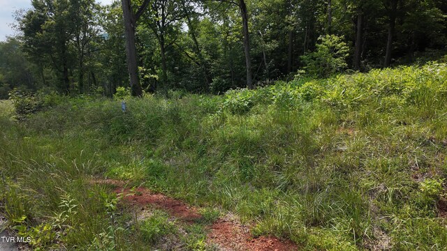 TR40 Cowan Town Rd, Butler, TN 37640 - photo 65